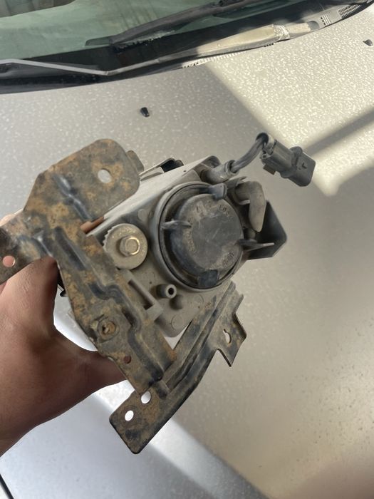 противотуманник