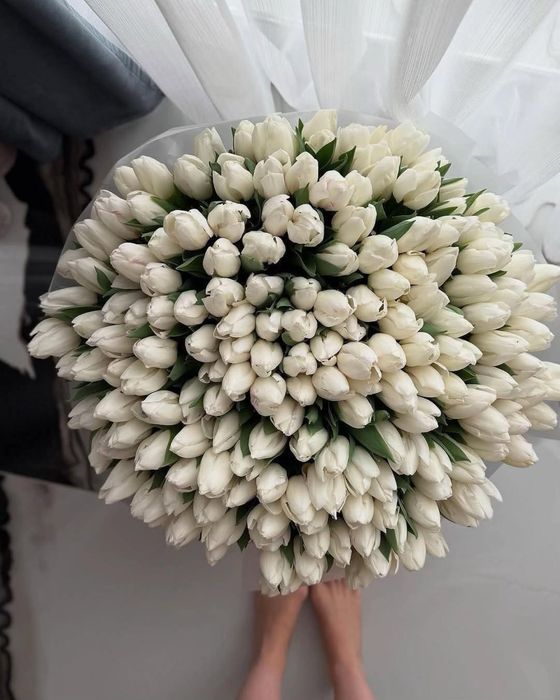 Тюльпаны оптом и в рожницу