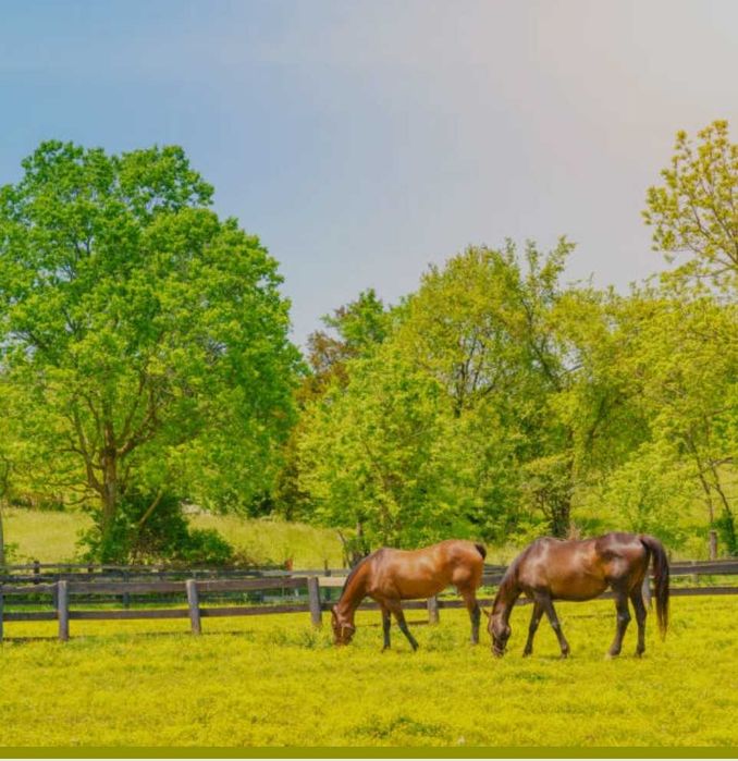 Крестьянское хозяйство 9600га Караганда