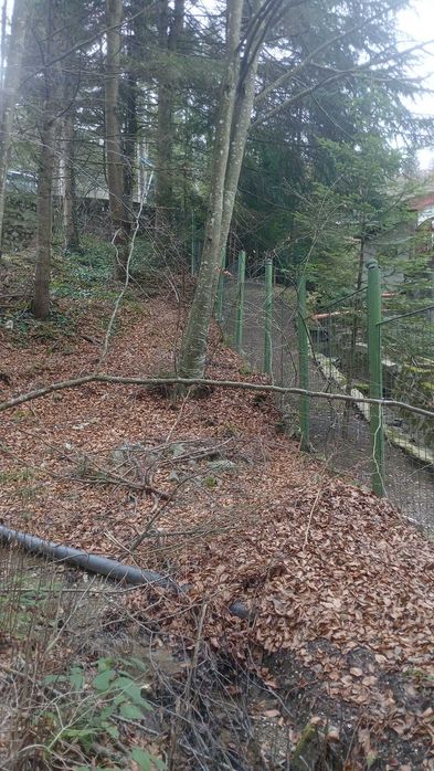 Sinaia central, teren intravilan