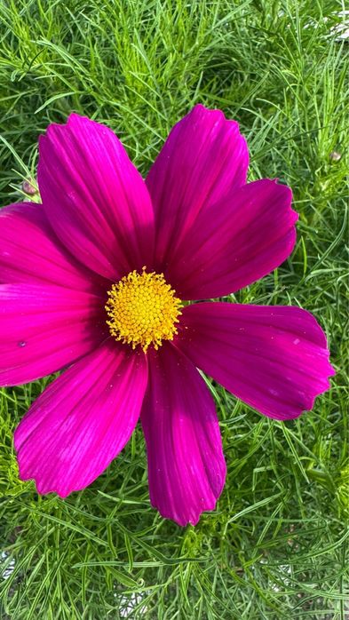 Продам Место дЛя отдыха ДАЧУ