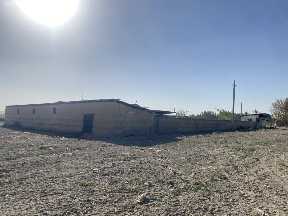 Сдаётся фирма на окраине города