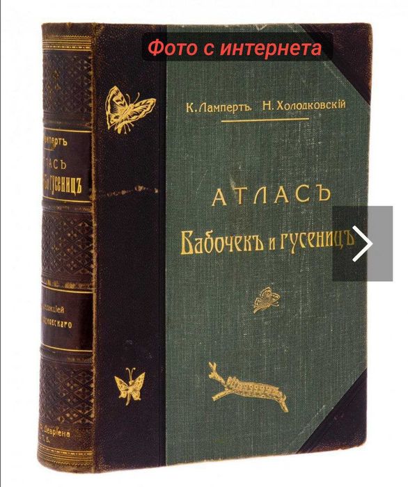 Книга "Атлас бабочек и гусениц " 1913 год