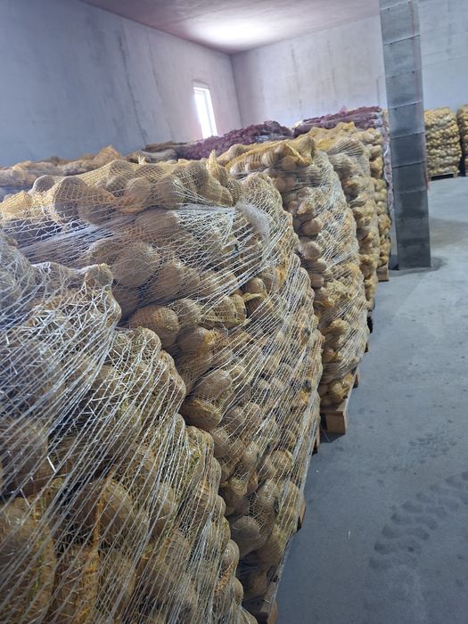 Vând cartofi orice cantitate la preturi  convenabile