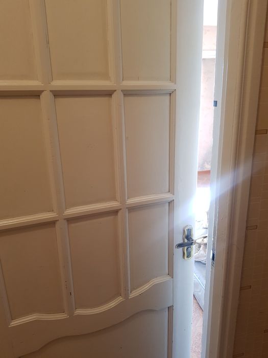 Продаю между комнатные деревья