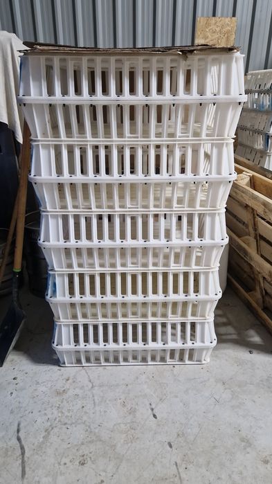 De vanzare lazi transport pui-pasari