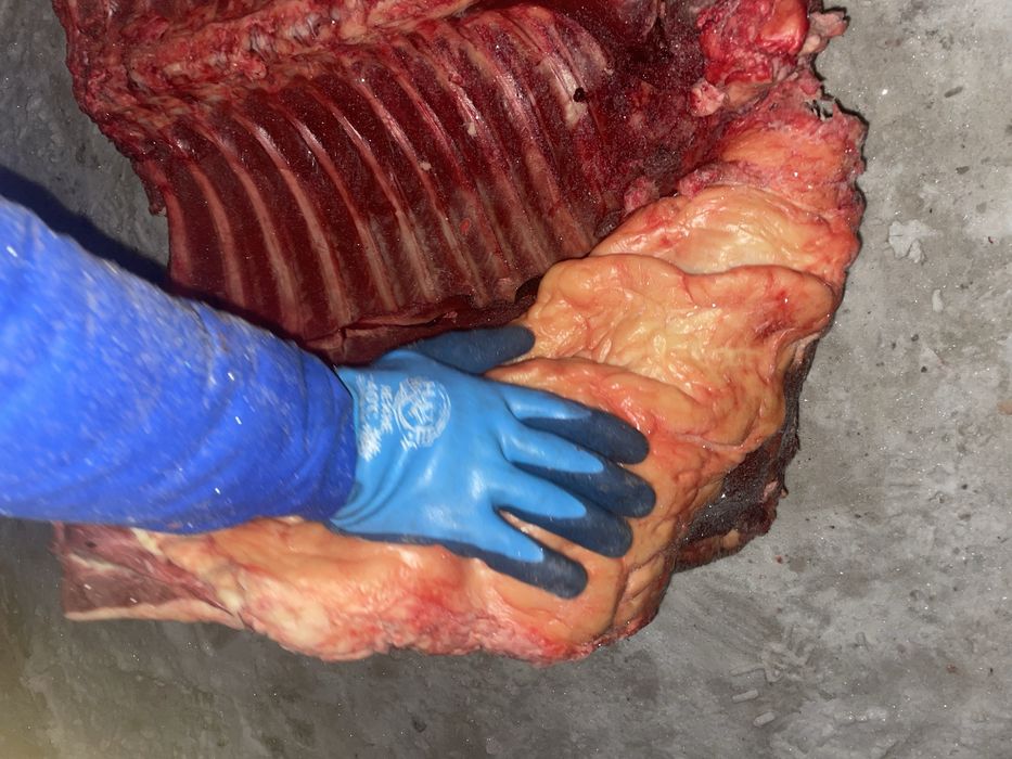 Соғым. Жабағы еті. Семейден келді.