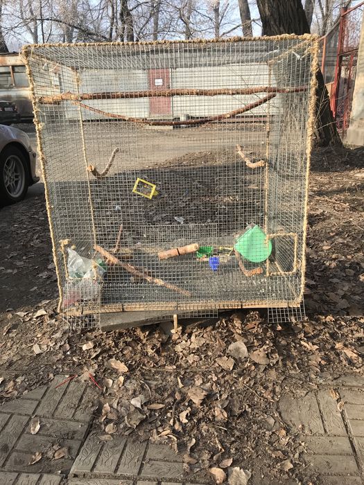 Продам клетку