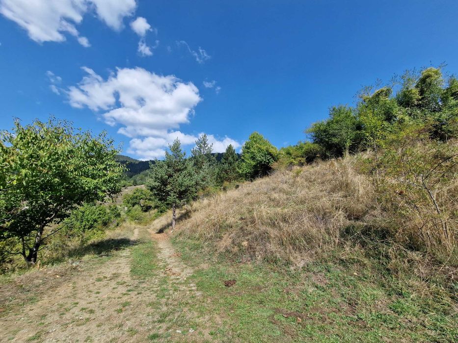 Продава се Парцел в с. Борово, Област Пловдив - 1500 кв.м за 31 €/кв.м - Снимка #6