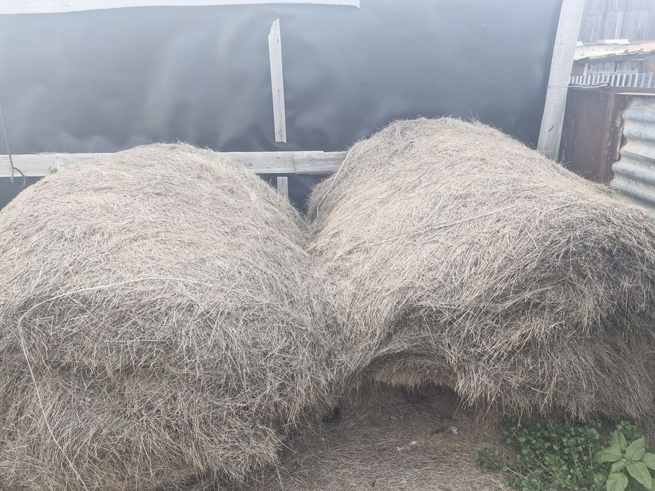 5мынан рулон срочна