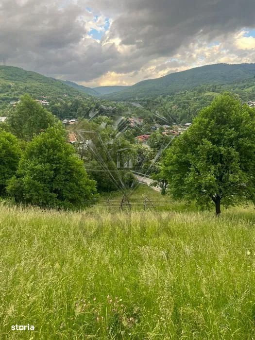 Teren De Vanzare Valea Doftanei