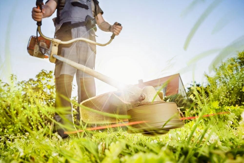 Tai tund iarbă în Timișoara, Dumbrăvița și în tot județul Timiș