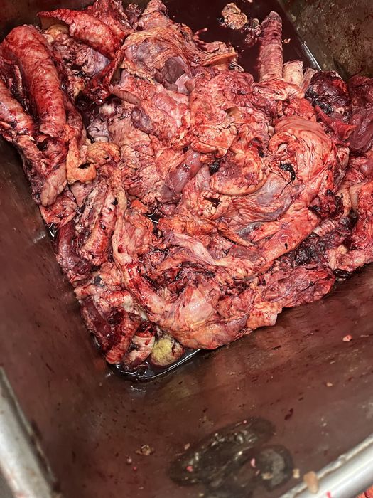 Обрезки для собак