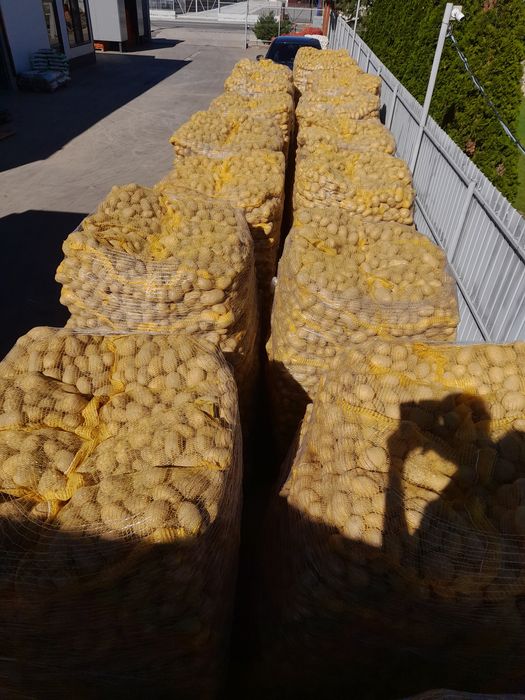 Vând cartofi alb rosu și ceapa