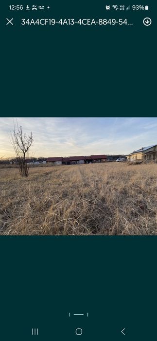 Defrișări vegetatii, intretinere,spații verzi