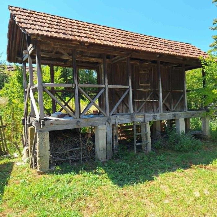 Casa veche 61 mp locuibila cu teren de 3534 mp