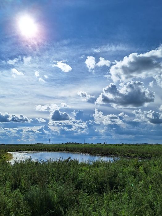 Дом Село Продажа Срочно