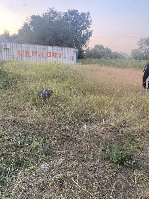 Срочно продам участок