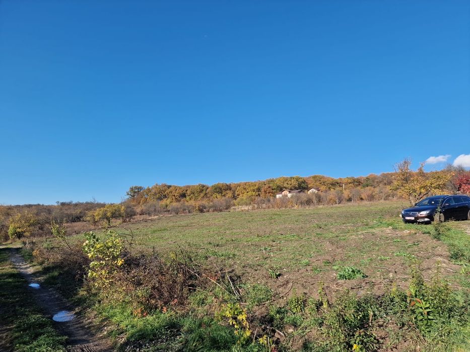 Teren intravilan Bistrita