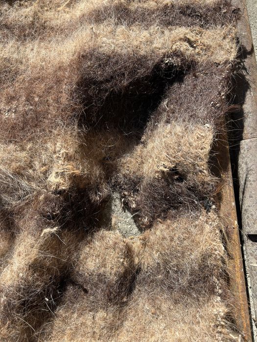 Козиняк автентичен родопски