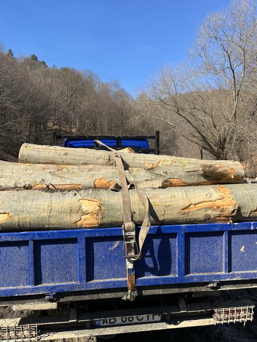 Vând lemne de foc uscate sau verzi !!