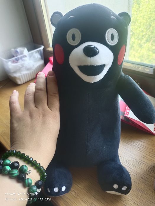 Медвежонок в черной цвете