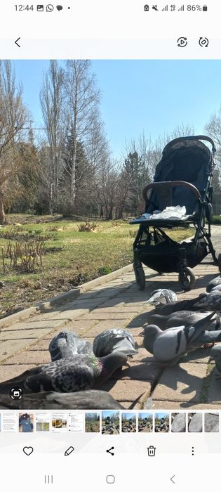 Коляска детская легкая