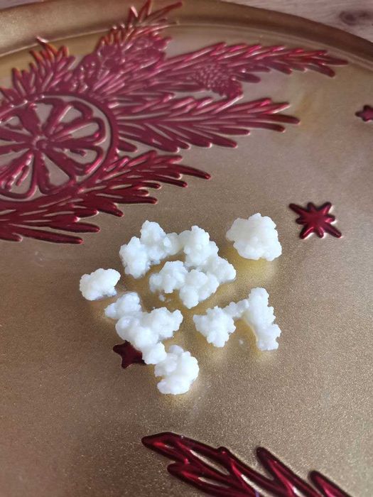 Тибетските кефирени зърна. КЕФИР