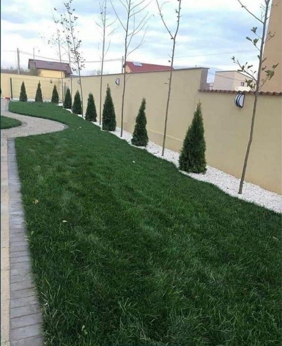 Gazon rulou cu sistem de irigati