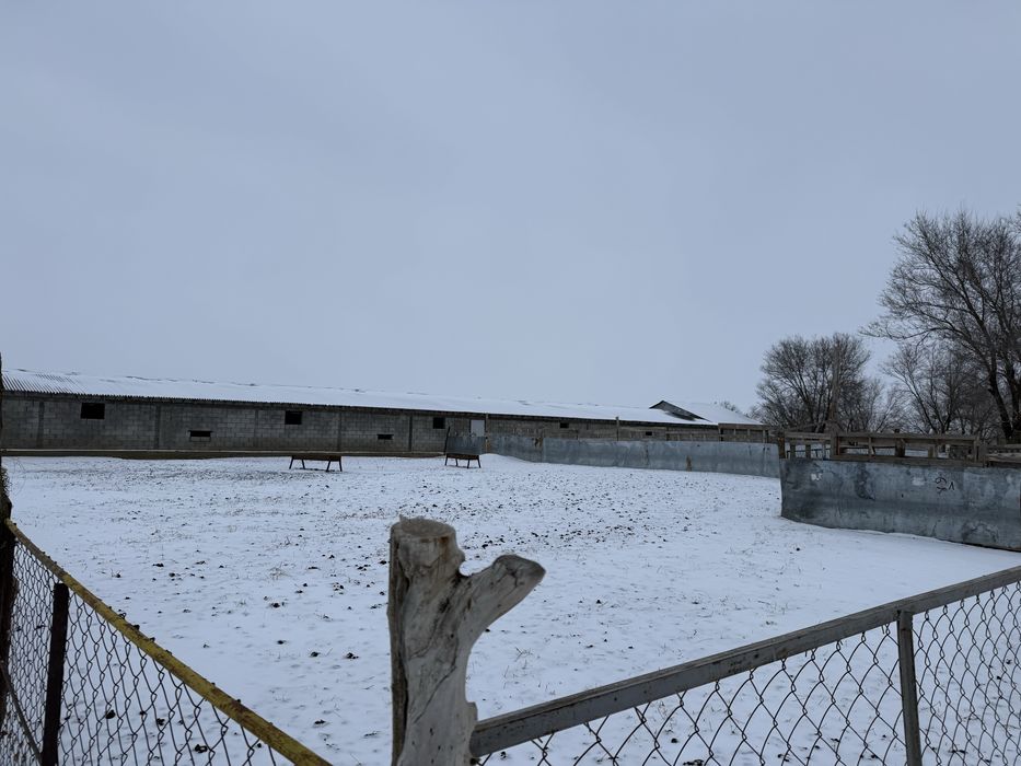 Продам ферму (фазенду)