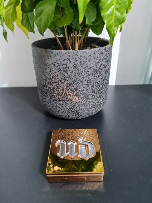 Pudra Stay Naked the fix-20WY