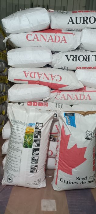 Семена кукурузы Канадский