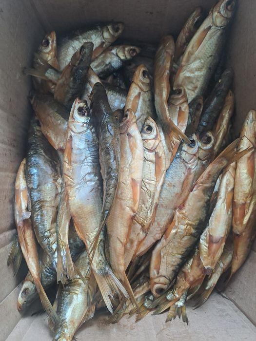 Продам рыбу копченный