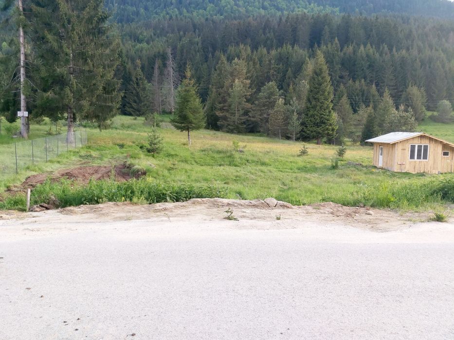 Продава се Парцел в Сърница - 1500 кв.м за 34 €/кв.м - Снимка #3