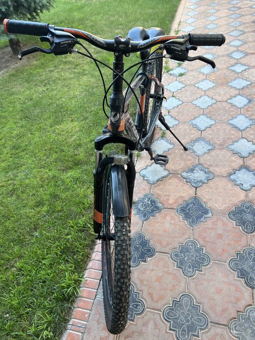 PHOENIX үлкендерге арналған спорттық велосипед