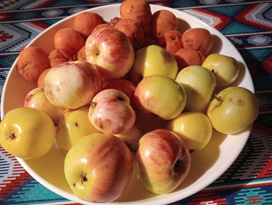 Продам дачу Текели