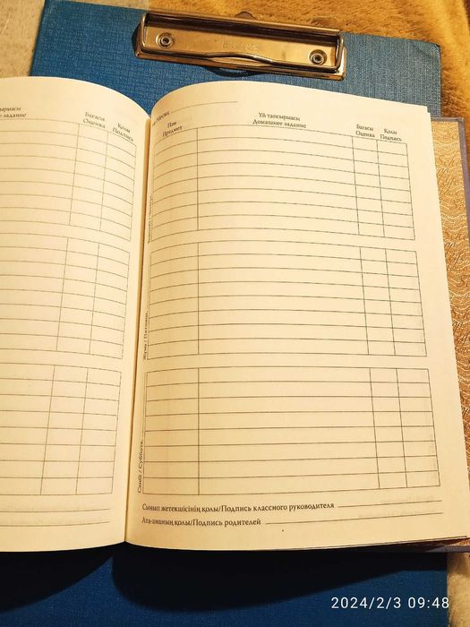 Дневник школьника новый