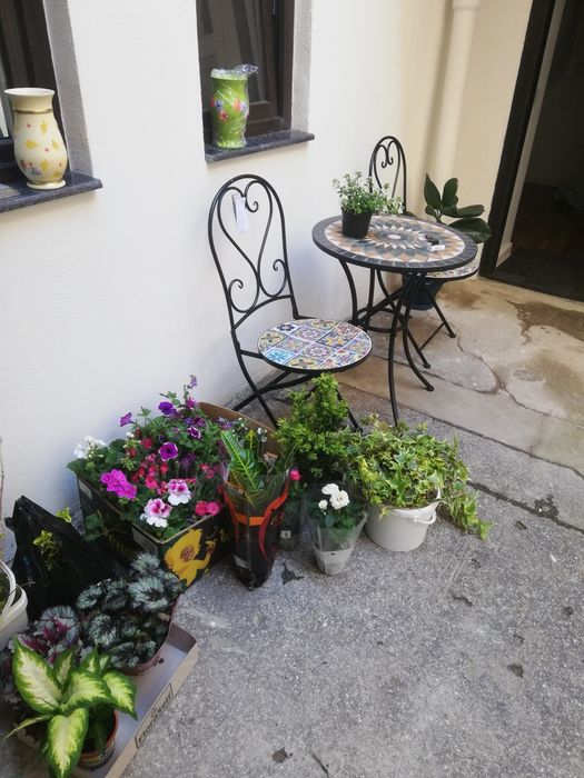 Cazare,închiriere, garsoniere  regim hotelier ultracentral