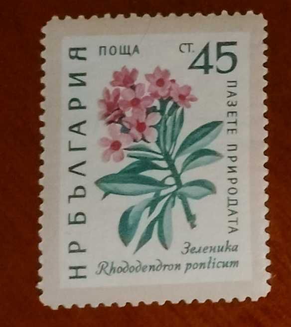 Български пощенски марки с цветя. Серия "Пазете природата". 1960 г.