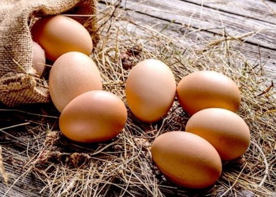 Vând ouă de țară
