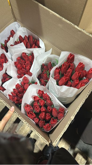 Тюльпаны в розницу