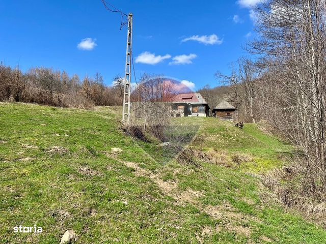 Teren 7,495mp Barsana / Valea Muntelui