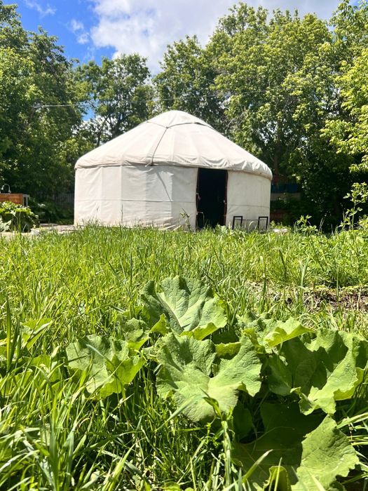 Дача, дом за городом, юрта , тапчан, баня