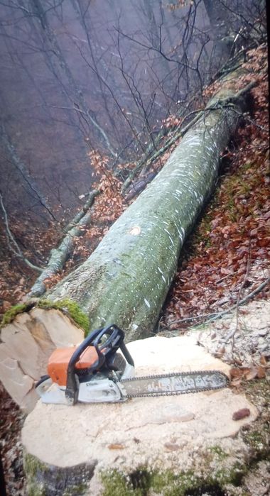 Lemn de foc sau lemn de lucru