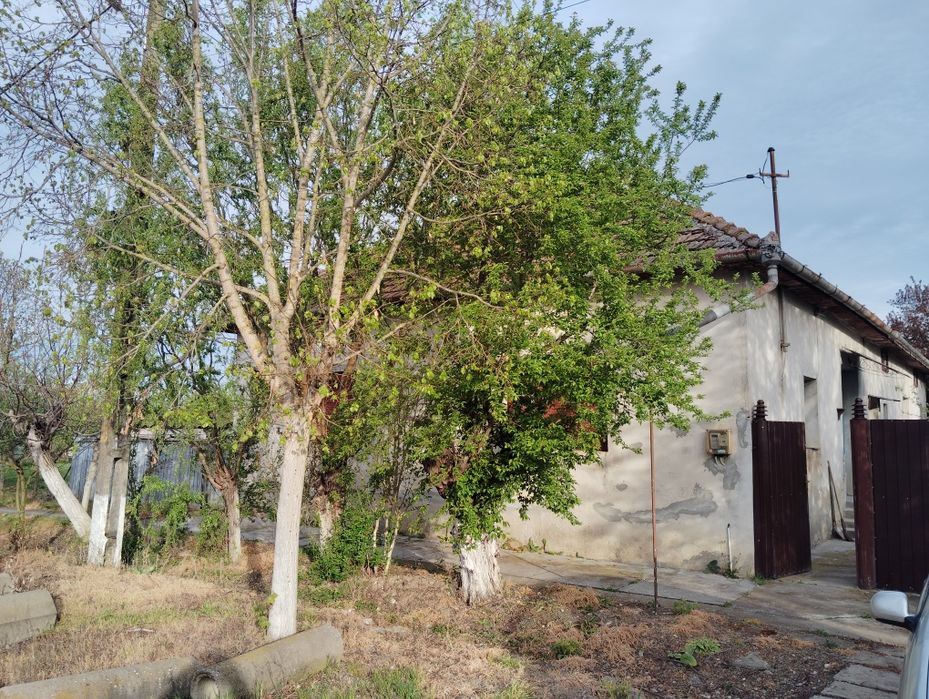 Casă tradițională cu teren generos și canal pentru pescarie si și irig