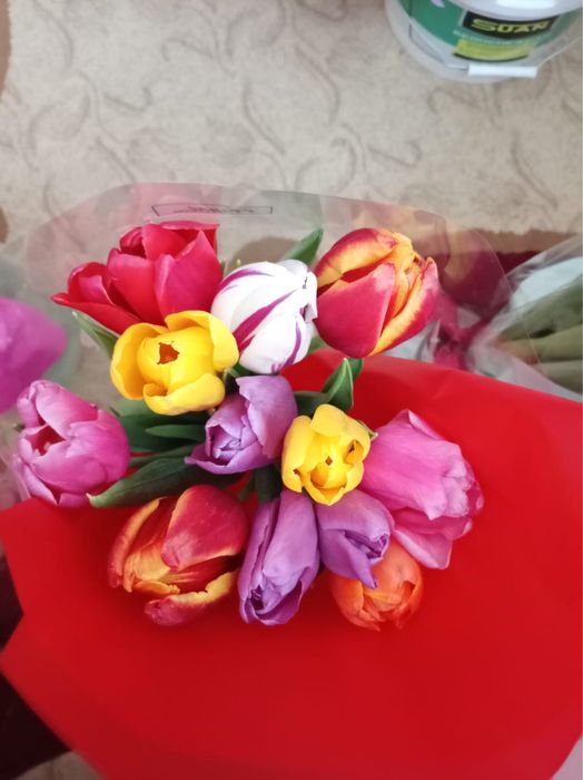 11 шт букет тюльпанов