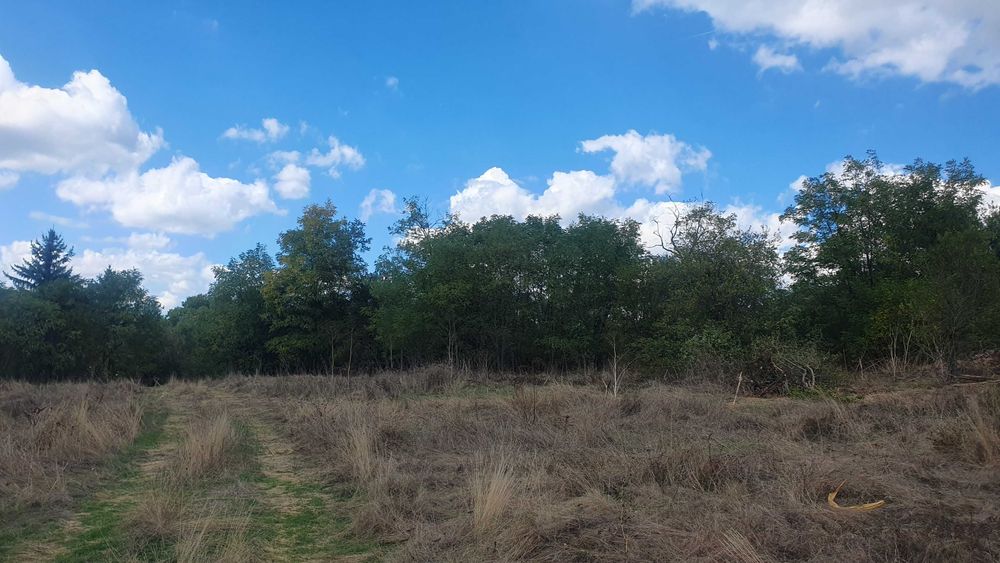 Продава се Парцел в с. Муртинци, Област Перник - 1363 кв.м за 8 €/кв.м - Снимка #1