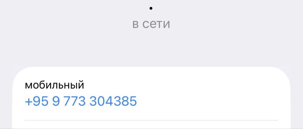 телеграм аккаунты даю первым