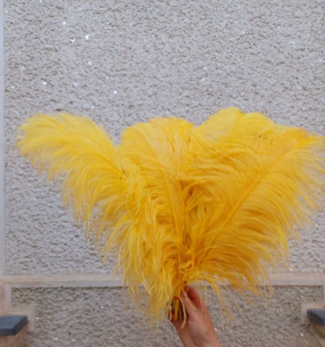 Pene de struti de vanzare