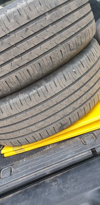 Continental Eco Contact 6